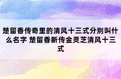 楚留香传奇里的清风十三式分别叫什么名字 楚留香新传金灵芝清风十三式